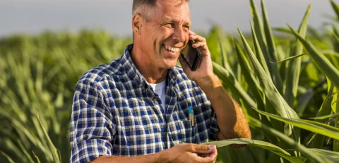 thumb-seguro-agricola